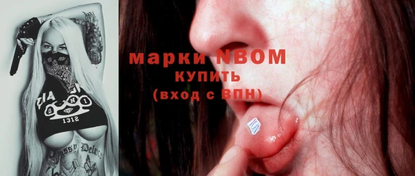 ешки Белокуриха