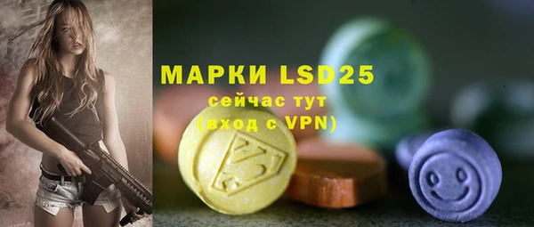 ешки Белокуриха