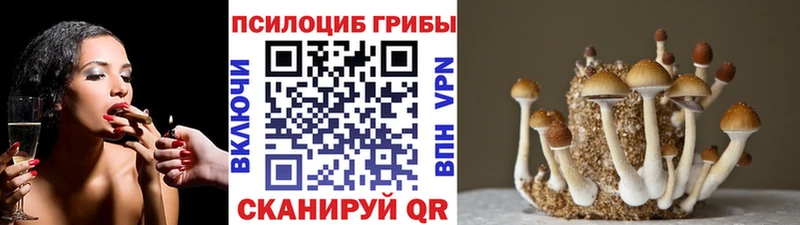 кракен как войти Пыть-Ях Галлюциногенные грибы прущие грибы