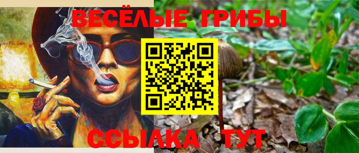 наркотики  Вход с VPN  Пыть-Ях  Псилоцибиновые грибы GOLDEN TEACHER 